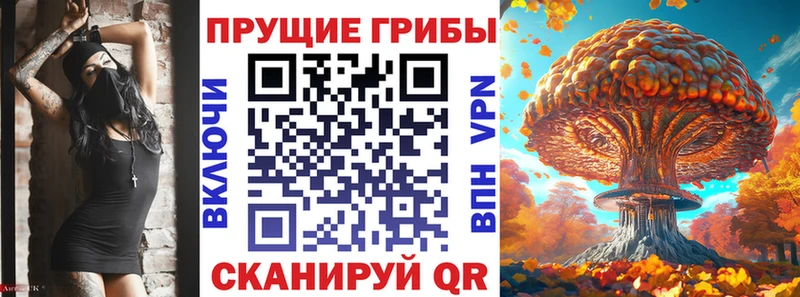 Купить где  Кушва  Псилоцибиновые грибы мицелий 