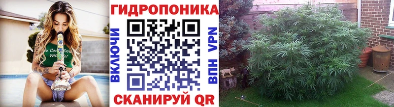 Бошки Шишки Bruce Banner  Купить закладки  Кушва 